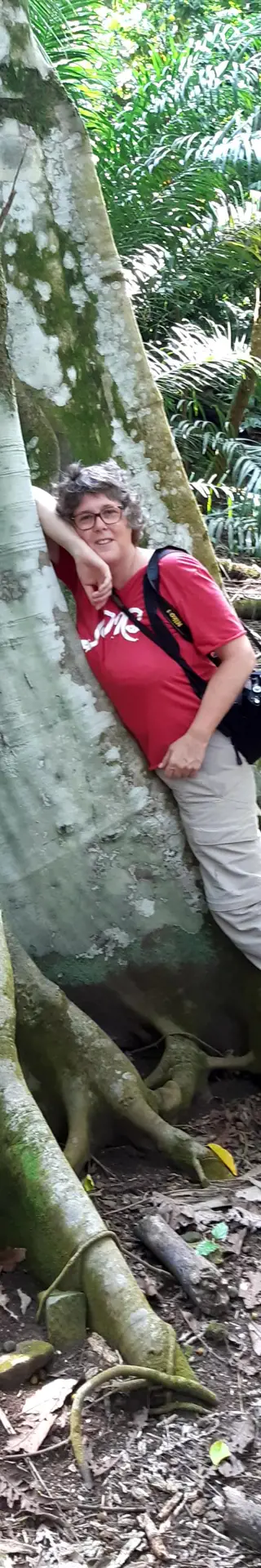 Zeugen der Geschichte
